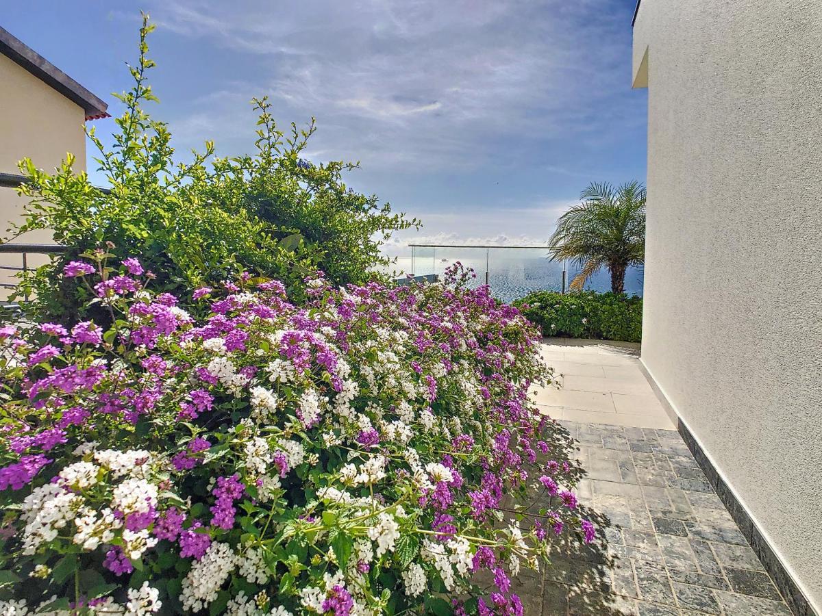 Francelho 2 Aparment By Mhm Apartment Ribeira Brava Exterior photo
